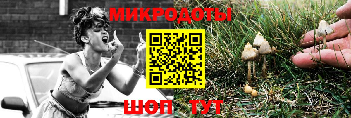 продажа наркотиков  Псилоцибиновые грибы мухоморы  Вход с VPN  Галлюциногенные грибы Magic Shrooms  Менделеевск 